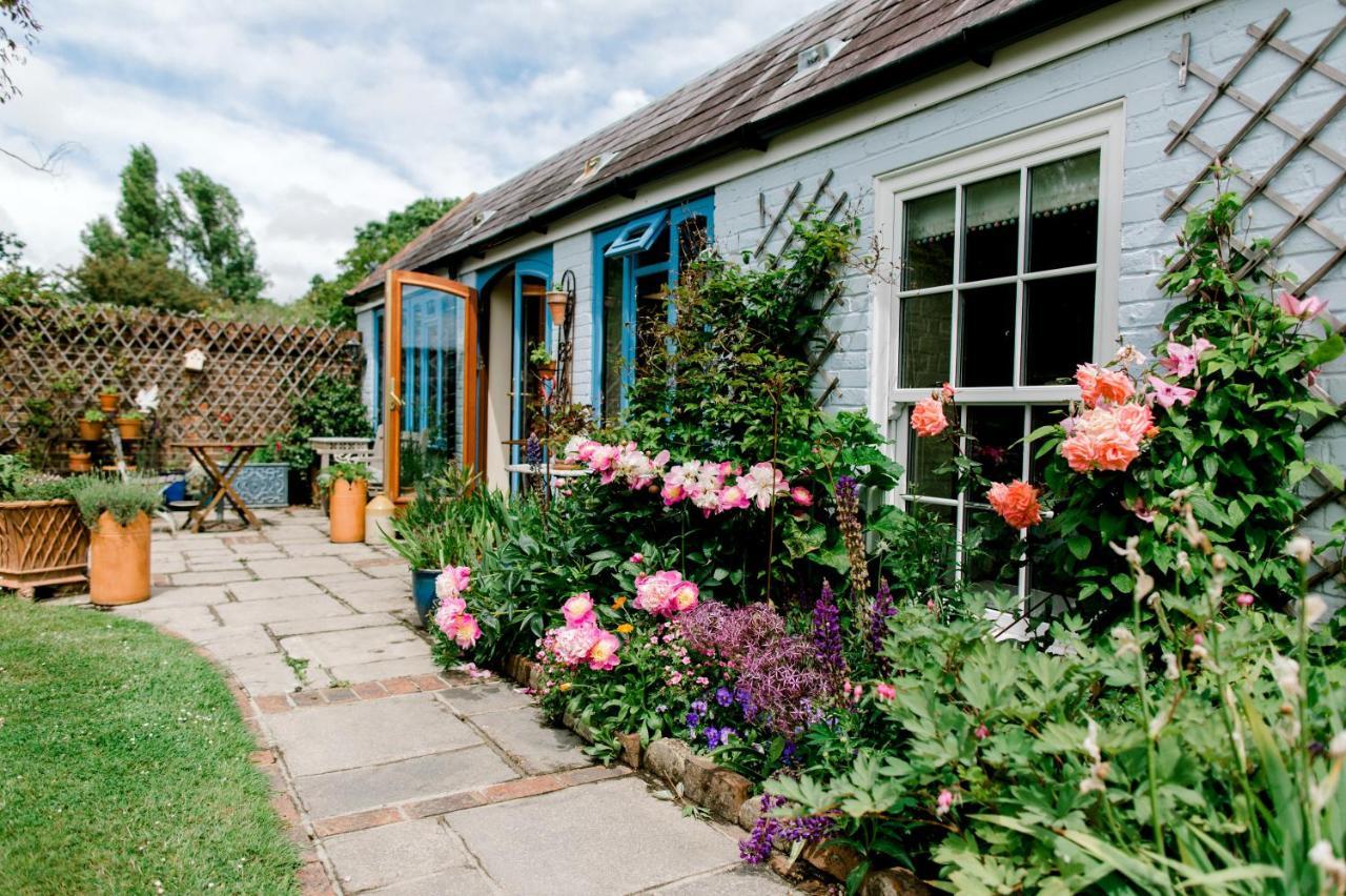 Cosy Cottage Ground Floor Bedroom Ensuite With Private Entrance Chichester Buitenkant foto