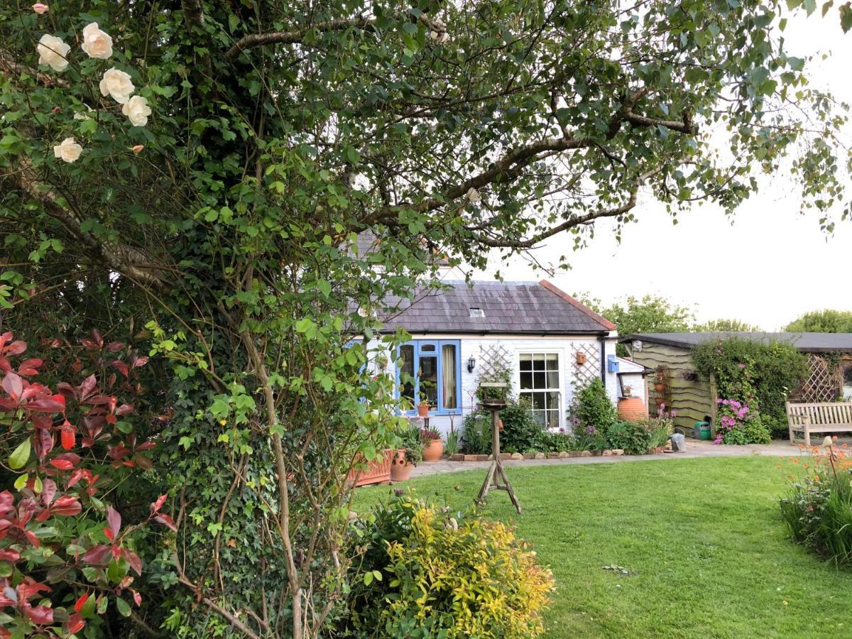 Cosy Cottage Ground Floor Bedroom Ensuite With Private Entrance Chichester Buitenkant foto